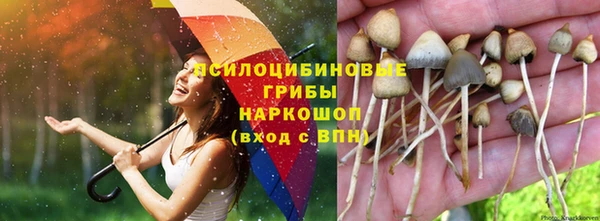 jwh Медногорск