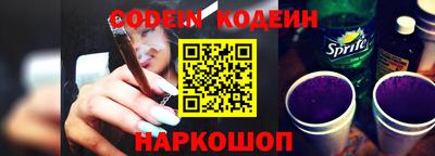 индика Сланцы