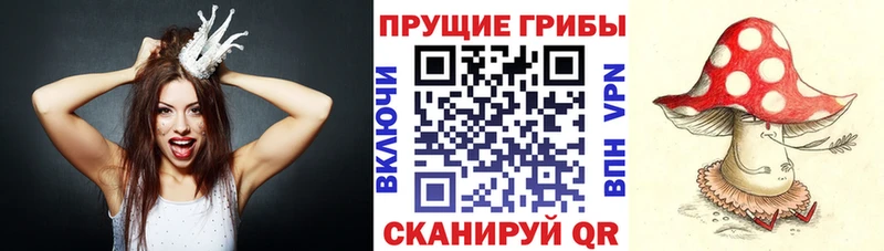 Галлюциногенные грибы мицелий  закладки  Соликамск 