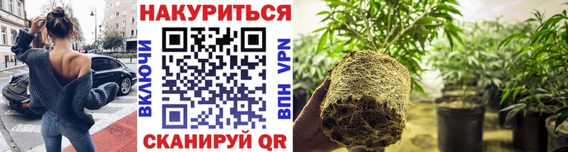 МАРИХУАНА THC 21%  купить наркоту  Соликамск 